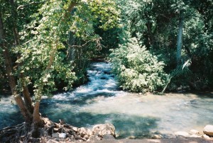 Mariela, Cows, home & Israel 007