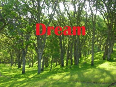 rolling-hill-dream-image-2