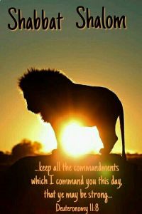 shabbat-shalom-image-3
